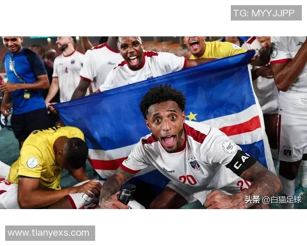 冰岛与瑞士足球比赛比分揭晓精彩瞬间回顾与分析